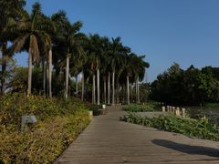 -顺峰山公园