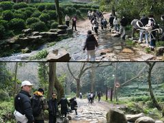 -西湖风景区十里琅珰-五云山