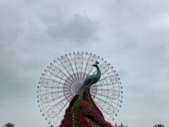 -七彩云南欢乐世界