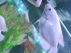 -洛阳龙门海洋馆