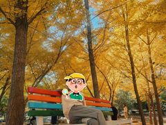 -森林公园(尖草坪区)