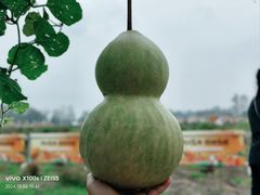 -中国天府农业博览园