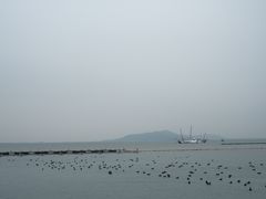 -苏州太湖湖滨国家湿地公园