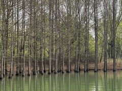 -苏州太湖国家湿地公园