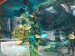 -波塞冬旅游度假区