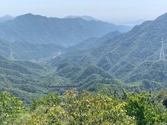 -大岭沟猕猴桃谷风景区