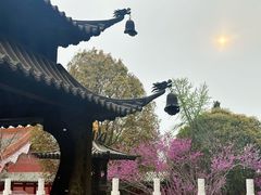 -天静宫