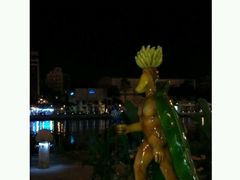 android_upload_pic-高雄爱河