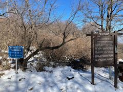 -阳台山自然风景区