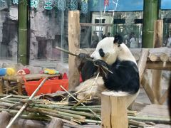 -栾川竹海野生动物园