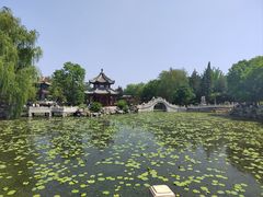 -莲池书院博物馆