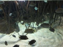 -福州罗源湾海洋世界旅游区