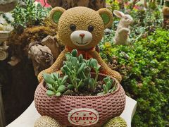-花之城