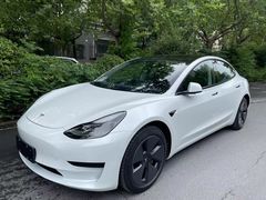 -TESLA 特斯拉(郑州正弘城体验店)