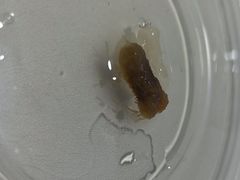 -无锡中央车站假日酒店·中餐厅
