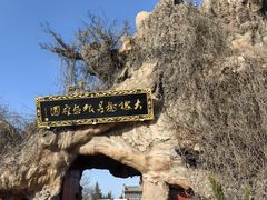 -大槐树寻根祭祖园