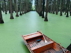 -渌洋湖湿地公园