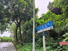 -火炉山森林公园