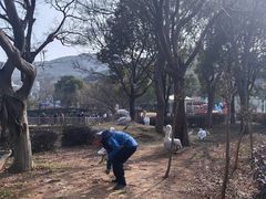 -无锡动物园·太湖欢乐园