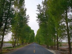 -张掖大佛寺景区