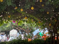 -大理老字号·舟渔的鱼野生菌海景餐厅(双廊店)