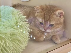 -万达广场(南宁青秀店)