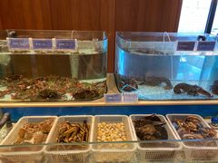 水产区-大渔小鲜火锅店