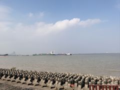 -上海滨江森林公园