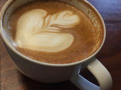 拿铁-VESH COFFEE(定西路店)