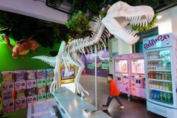 -恐龙探索乐园(磁器口店)