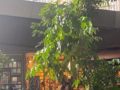 -旧天堂书店(华侨城创意文化园南山特色文化街区店)