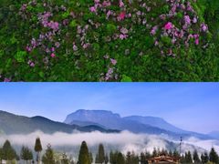 -瓦屋山景区