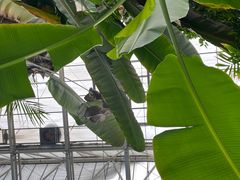 -龙达温泉生态城