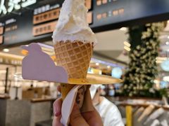 -野人先生Gelato(上海长宁龙之梦店)