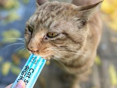 -婕妮璐超市 Jenny Lou’s Shop(三里屯店)