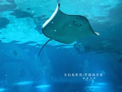 -福州罗源湾海洋世界旅游区