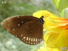 -紫竹院公园冰场