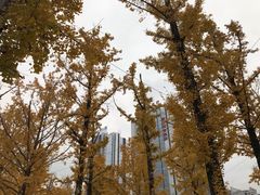 -百林公园-两江幸福广场