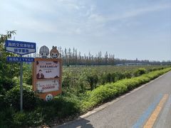 -上海长兴岛郊野公园