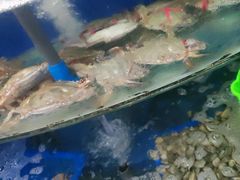 -渔家小院观海海肠捞饭地方菜(环海中路店)