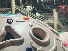 -栾川竹海野生动物园
