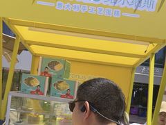 -维尔纳斯·生日蛋糕动物奶油冰淇淋蛋糕(人大店)