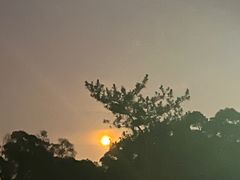 -金鸡山公园