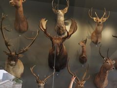 -陕西自然博物馆