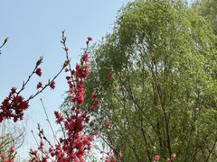 -皇家御河游(紫御湾码头)