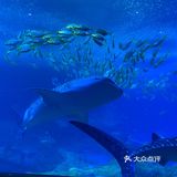 长隆海洋王国