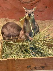 -Zoolung Zoolung动物主题公园(海信广场店)