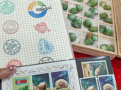 -摩登百货(岗顶店)