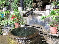 -黔灵山公园