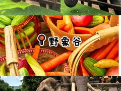 -野象谷景区